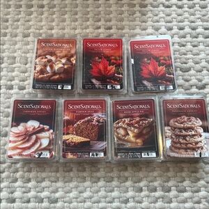 7 New fall wax cubes pumpkin cinnamon apples fallen leaves